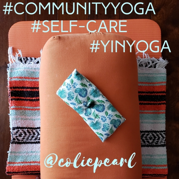 Meet your Posher, Colie - Picture 4 of 8